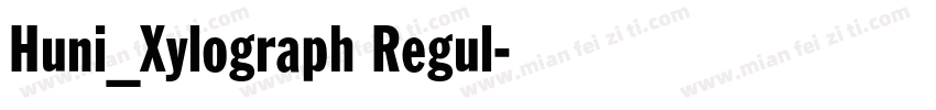 Huni_Xylograph Regul字体转换